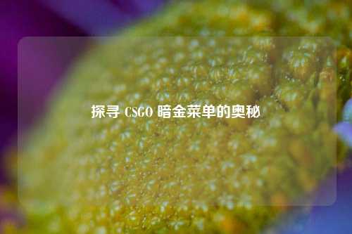 探寻 CSGO 暗金菜单的奥秘