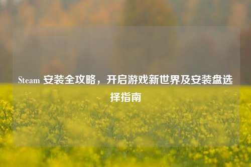 Steam 安装全攻略，开启游戏新世界及安装盘选择指南