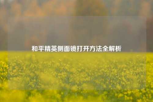 和平精英侧面镜打开方法全解析