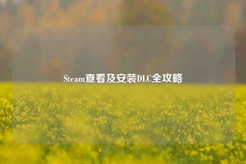 Steam查看及安装DLC全攻略