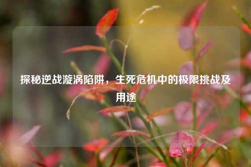 探秘逆战漩涡陷阱，生死危机中的极限挑战及用途