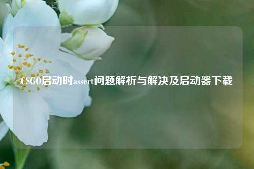 CSGO启动时assert问题解析与解决及启动器下载