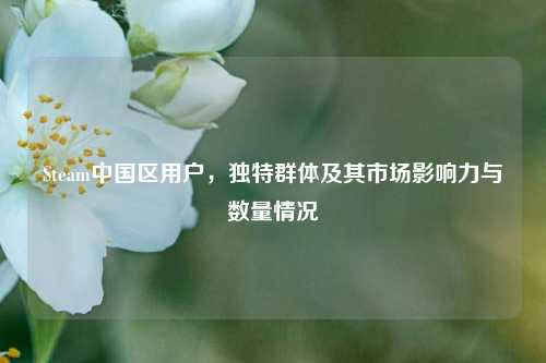 Steam中国区用户,独特群体及其市场影响力与数量情况