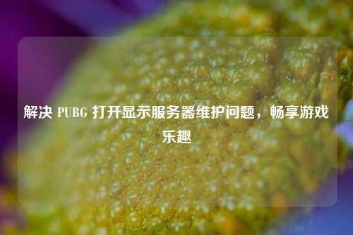 解决 PUBG 打开显示服务器维护问题，畅享游戏乐趣