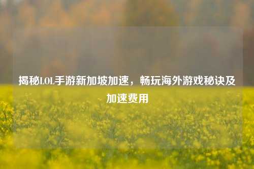 揭秘LOL手游新加坡加速，畅玩海外游戏秘诀及加速费用
