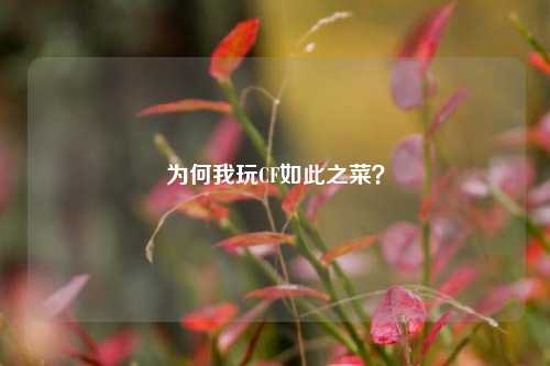 为何我玩CF如此之菜？