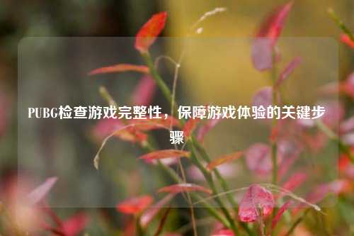 PUBG检查游戏完整性，保障游戏体验的关键步骤