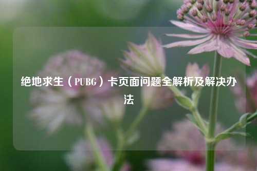 绝地求生（PUBG）卡页面问题全解析及解决办法