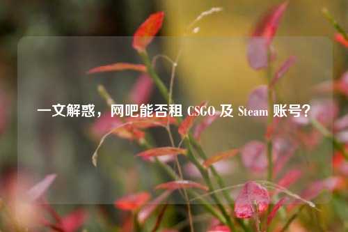 一文解惑，网吧能否租 CSGO 及 Steam 账号？