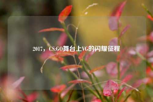 2017，CS:GO舞台上VG的闪耀征程