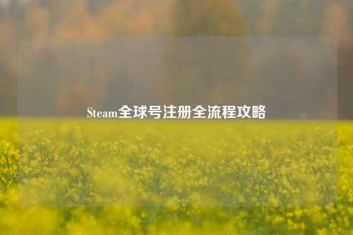 Steam全球号注册全流程攻略