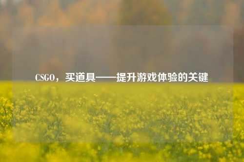 CSGO，买道具——提升游戏体验的关键