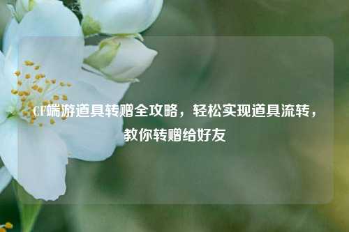CF端游道具转赠全攻略，轻松实现道具流转，教你转赠给好友
