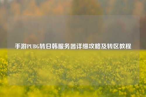 手游PUBG转日韩服务器详细攻略及转区教程