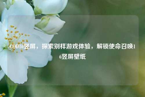 COD16竖屏，探索别样游戏体验，解锁使命召唤16竖屏壁纸