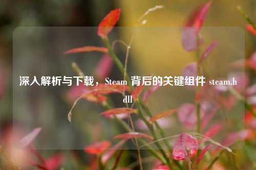 深入解析与下载，Steam 背后的关键组件 steam.hdll