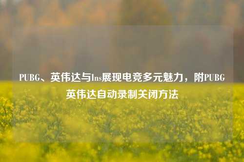 PUBG、英伟达与Ins展现电竞多元魅力，附PUBG英伟达自动录制关闭方法