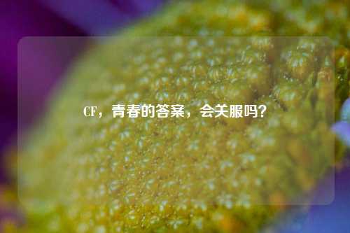 CF，青春的答案，会关服吗？