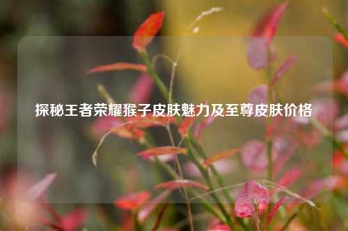 探秘王者荣耀猴子皮肤魅力及至尊皮肤价格