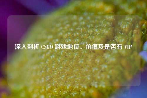 深入剖析 CSGO 游戏地位、价值及是否有 VIP