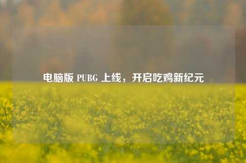 电脑版 PUBG 上线，开启吃鸡新纪元