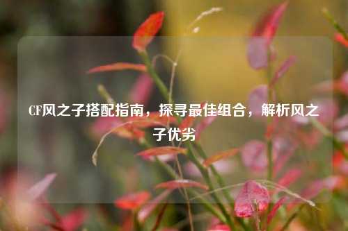 CF风之子搭配指南，探寻最佳组合，解析风之子优劣