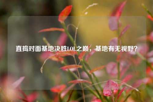 直捣对面基地决胜LOL之巅，基地有无视野？