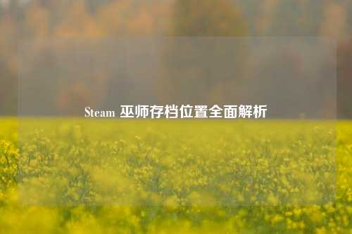 Steam 巫师存档位置全面解析