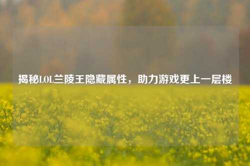 揭秘LOL兰陵王隐藏属性,助力游戏更上一层楼