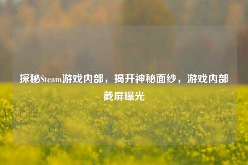 探秘Steam游戏内部,揭开神秘面纱,游戏内部截屏曝光