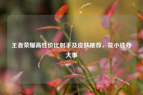 王者荣耀高性价比射手及皮肤推荐，花小钱办大事