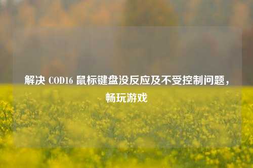 解决 COD16 鼠标键盘没反应及不受控制问题，畅玩游戏