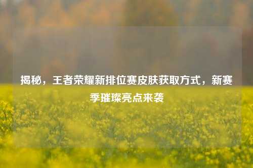 揭秘，王者荣耀新排位赛皮肤获取方式，新赛季璀璨亮点来袭