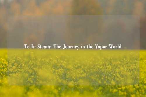 To In Steam: The Journey in the Vapor World