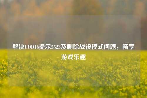 解决COD16提示5523及删除战役模式问题，畅享游戏乐趣