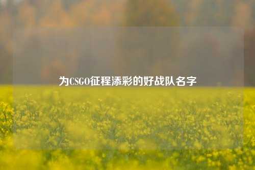 为CSGO征程添彩的好战队名字