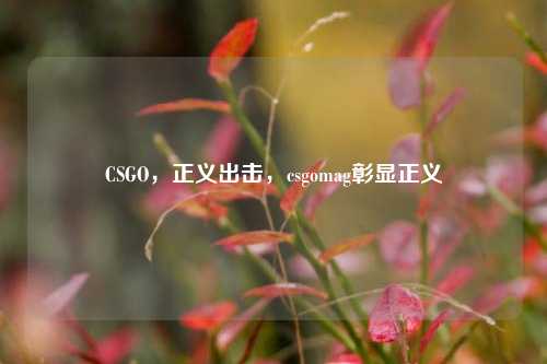 CSGO，正义出击，csgomag彰显正义
