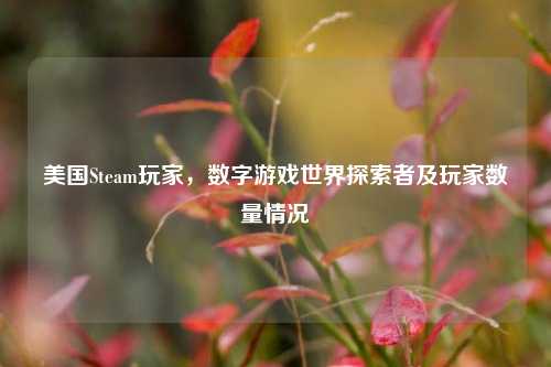 美国Steam玩家，数字游戏世界探索者及玩家数量情况