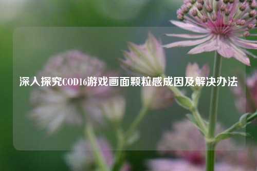 深入探究COD16游戏画面颗粒感成因及解决办法