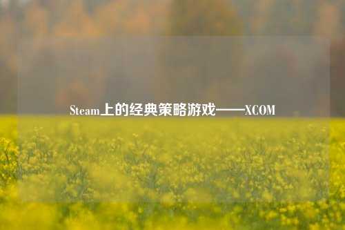 Steam上的经典策略游戏——XCOM