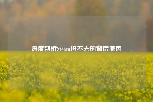 深度剖析Steam进不去的背后原因