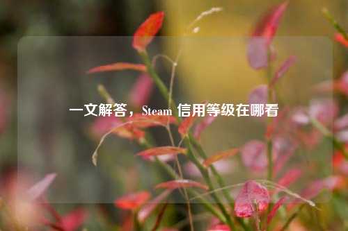一文解答，Steam 信用等级在哪看