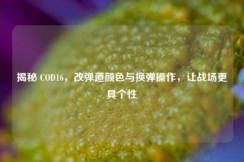 揭秘 COD16，改弹道颜色与换弹操作，让战场更具个性