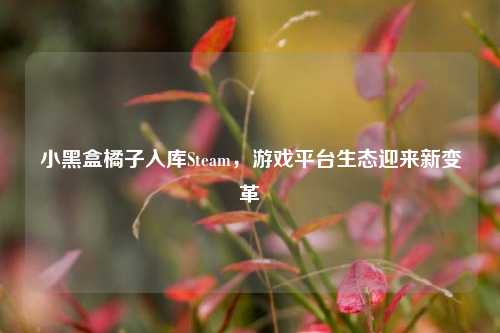 小黑盒橘子入库Steam，游戏平台生态迎来新变革