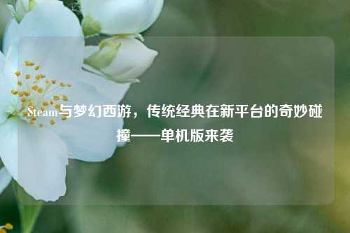 Steam与梦幻西游，传统经典在新平台的奇妙碰撞——单机版来袭