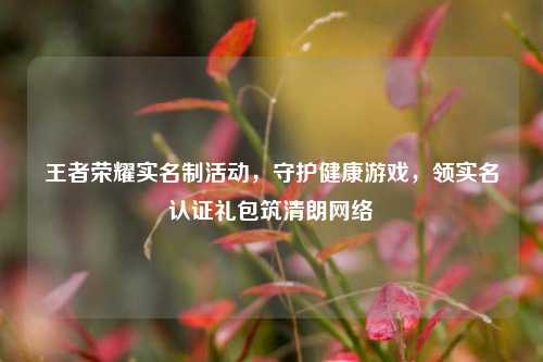 王者荣耀实名制活动，守护健康游戏，领实名认证礼包筑清朗网络