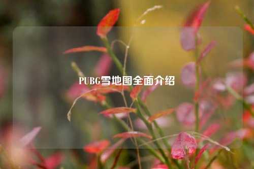 PUBG雪地图全面介绍