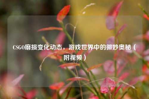 CSGO磨损变化动态，游戏世界中的微妙奥秘（附视频）