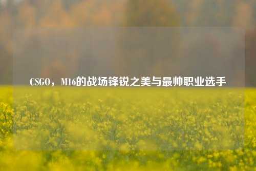 CSGO，M16的战场锋锐之美与最帅职业选手