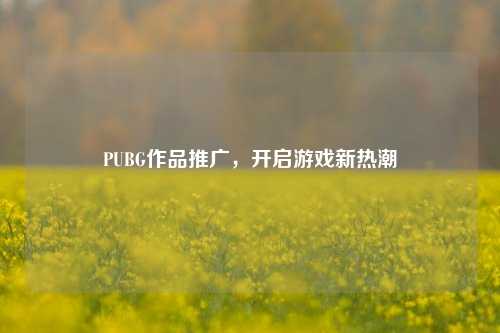 PUBG作品推广，开启游戏新热潮